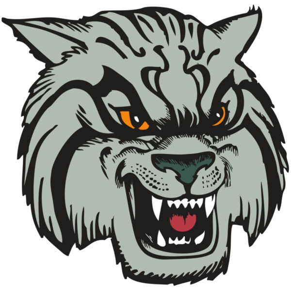 BAW WILDCAT 03 RC Thumbnail