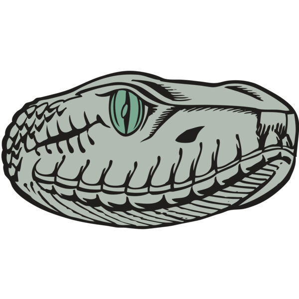 BAW SNAKE 10 RC Thumbnail