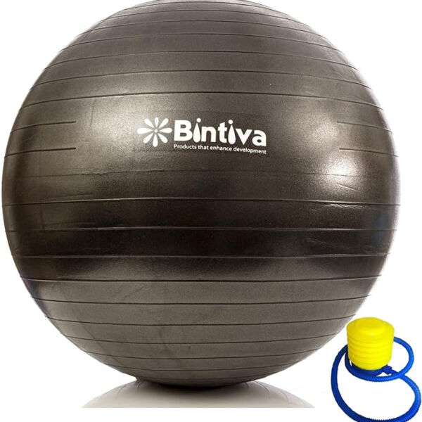 Exercise Ball Large  Thumbnail
