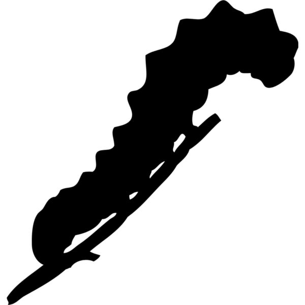 Caterpillar Silhouette 1 Thumbnail