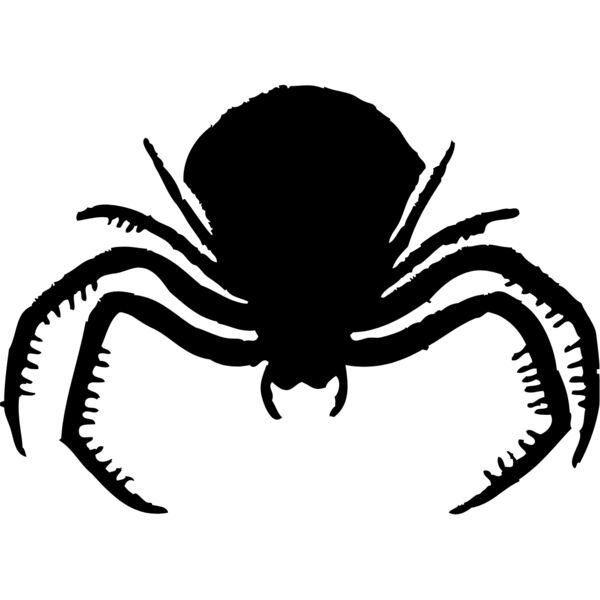 Spider Silhouette 22 Thumbnail