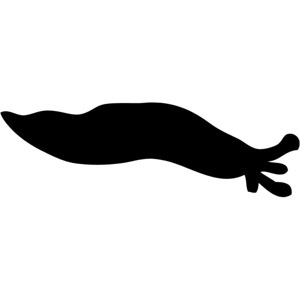 Slug Silhouette 2 Thumbnail