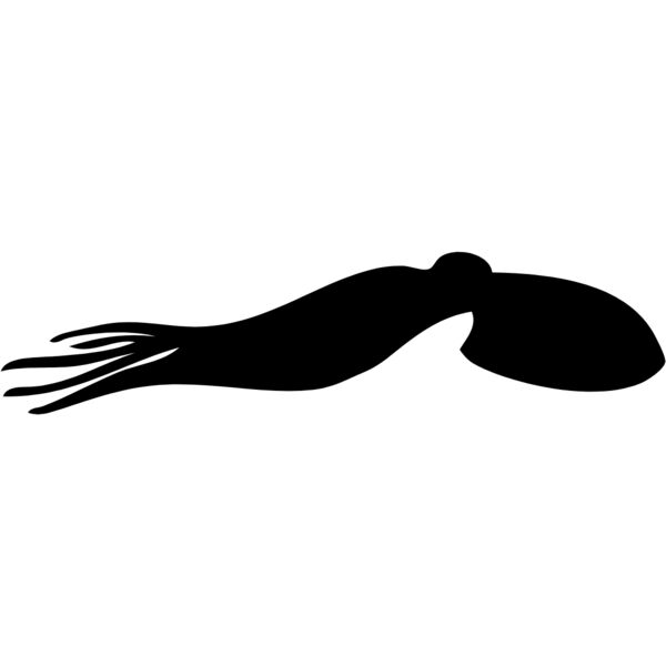 Squid Silhouette 3 Thumbnail