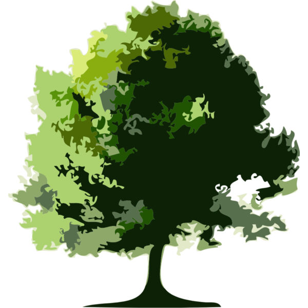 Tree 20 Thumbnail