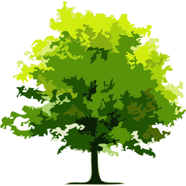 Tree 13 Thumbnail