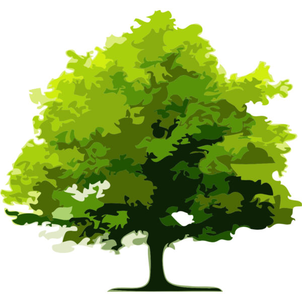 Tree 7 Thumbnail