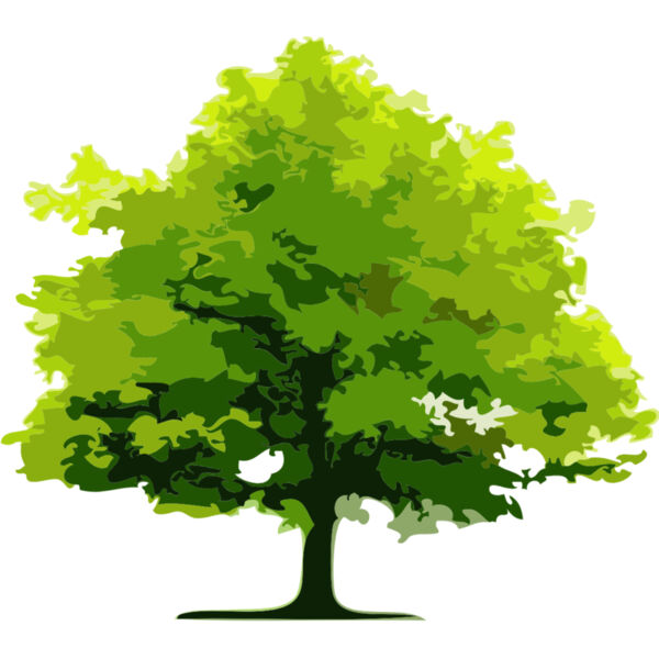 Tree 9 Thumbnail