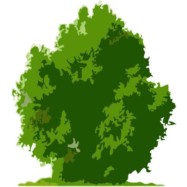 Tree 25 Thumbnail