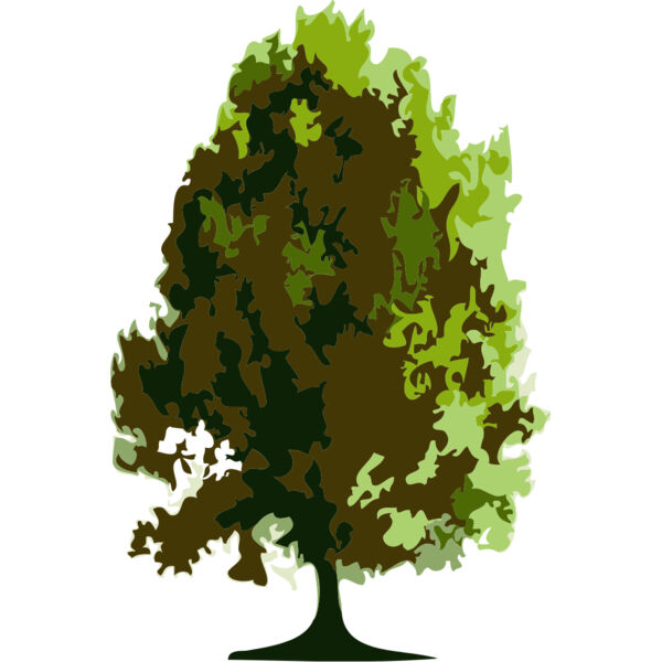 Tree 23 Thumbnail