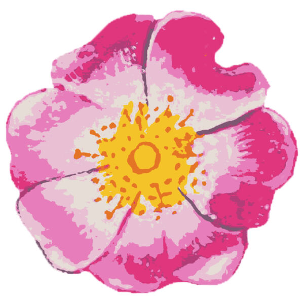 Watercolor Flower 2 Thumbnail