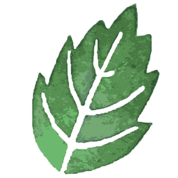 Watercolor Leaf 2 Thumbnail