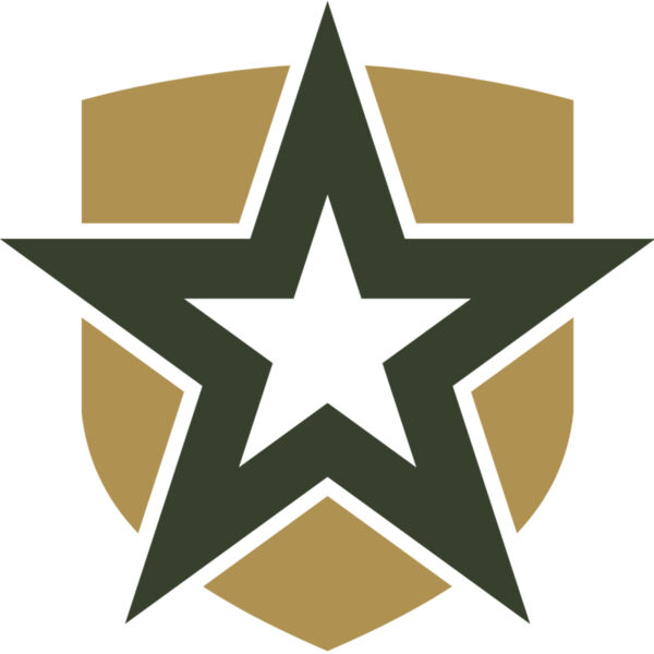 Military Star Shield Badge 3 Thumbnail