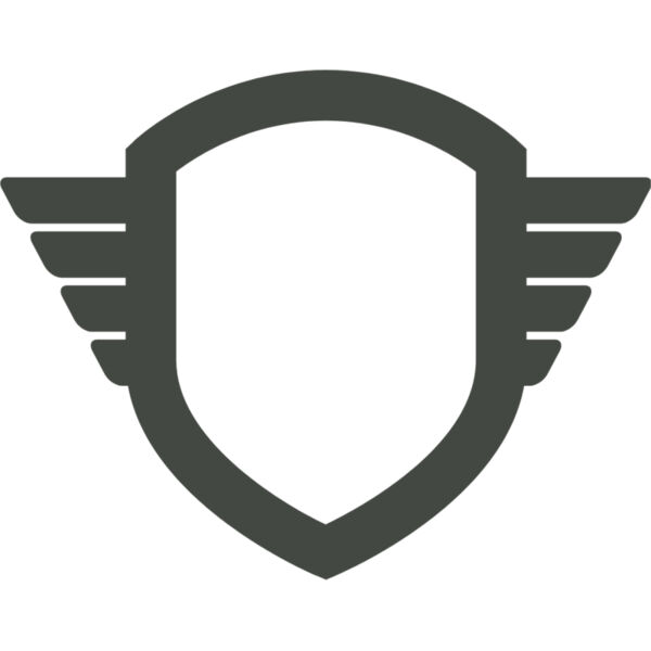 Military Wings Shield Badge Emblem 1 Thumbnail