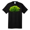 Tall Core Cotton Tee Thumbnail